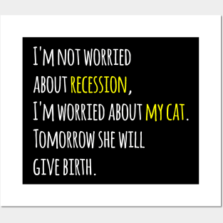 I'm not worried about recession, I'm worried about my cat. Tomorrow she will give birth. Posters and Art